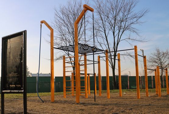 Standard exercise park