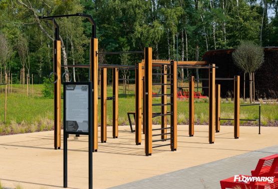 Wojkowice Street Workout 